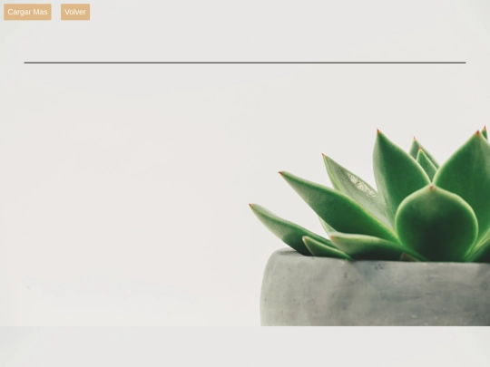 Api screenshot