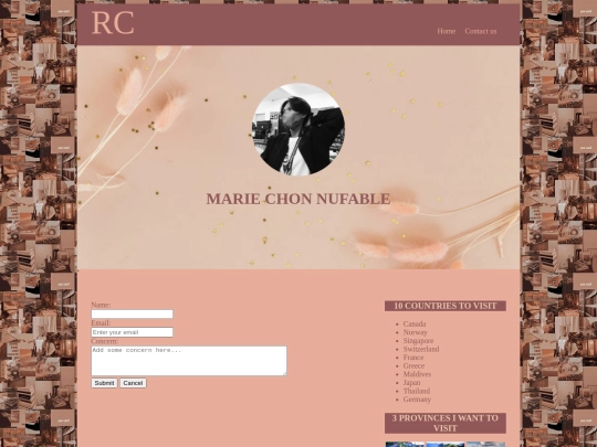 contact us screenshot