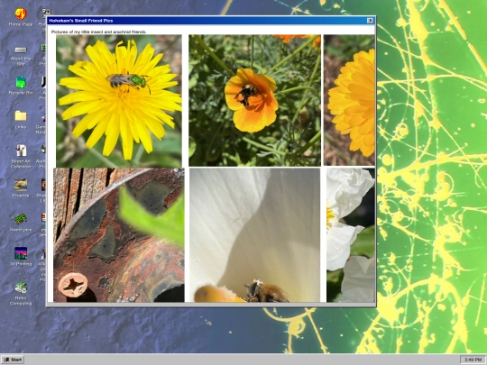 bugs screenshot