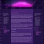 The web site of yvydegoru avatar