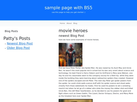 BS5_blog screenshot