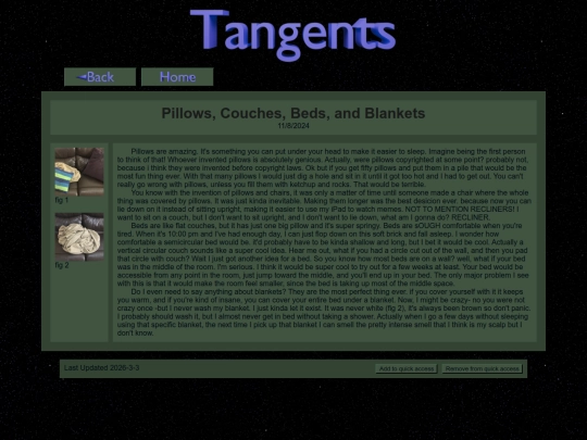 Pillows, Couches, Beds, and Blankets screenshot