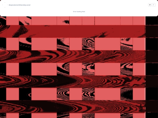 feed screenshot