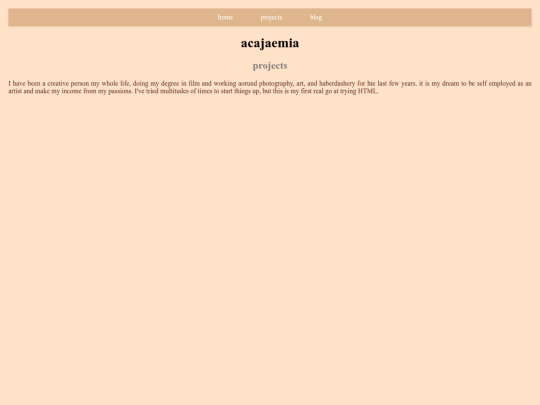 projects screenshot