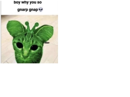 cat screenshot