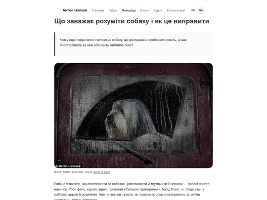 uk/longreads/observation screenshot