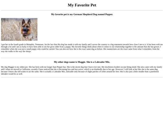 MyFavoritePet screenshot