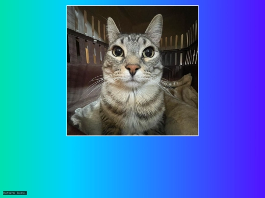example screenshot