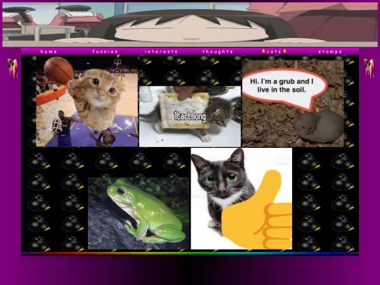 cats screenshot