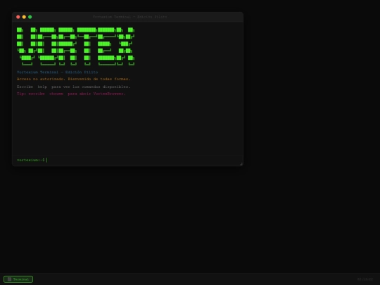 terminal screenshot