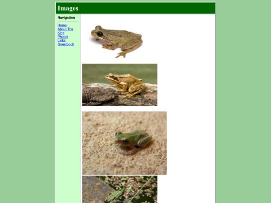 Photos screenshot