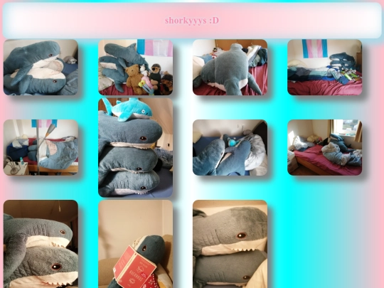 sharks screenshot