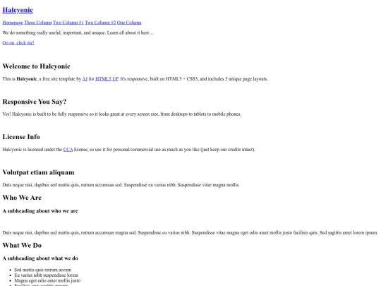 homepager screenshot