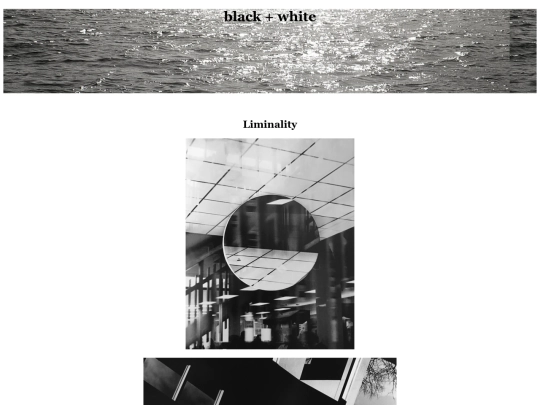 blackandwhite screenshot