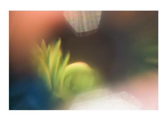 cdgallery screenshot