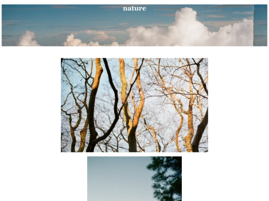 nature screenshot