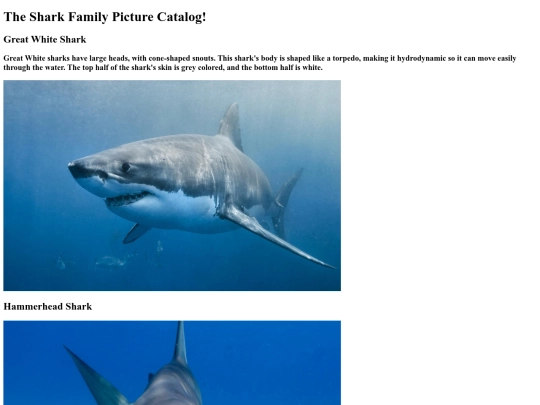 shark screenshot