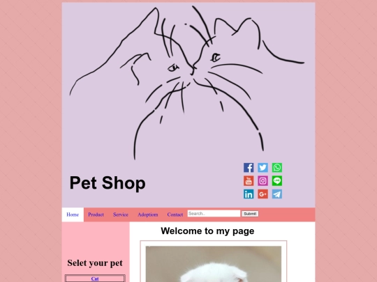 midterm/homepage screenshot