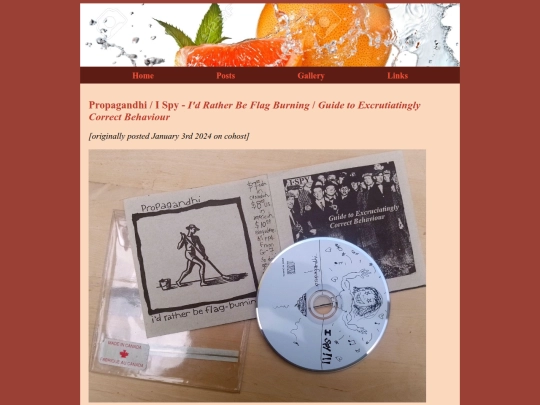 propagandhi_ispy_split screenshot