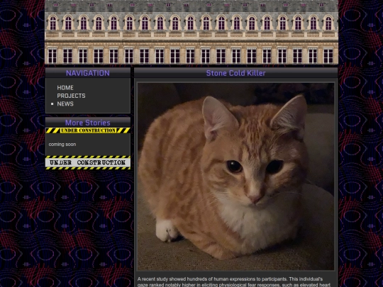 pages/politics screenshot
