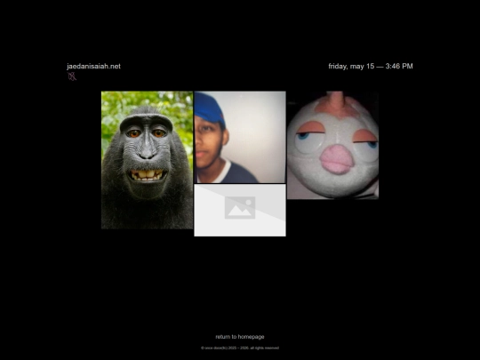 gallery screenshot
