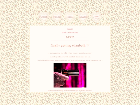 diary/2-13-25 screenshot