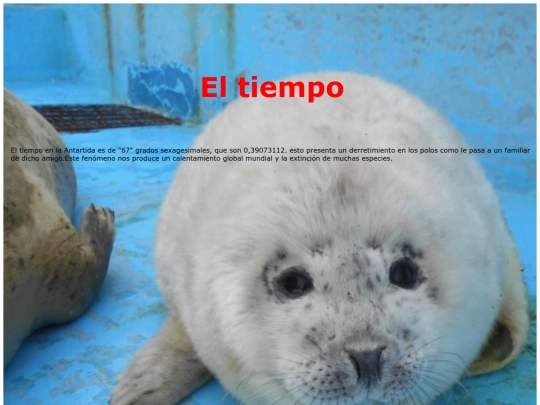 Tiempo screenshot