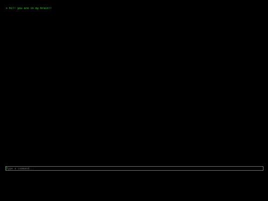 terminal screenshot