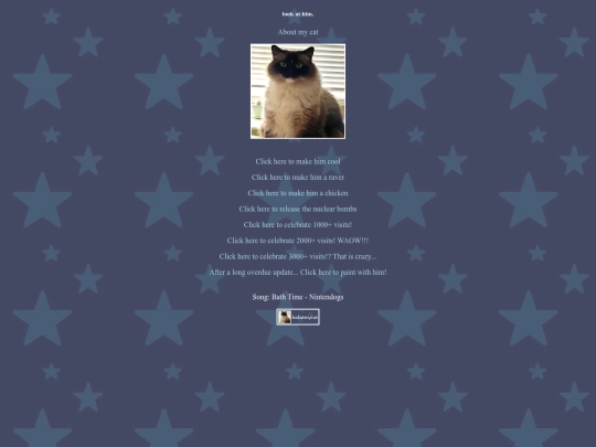 mycat screenshot