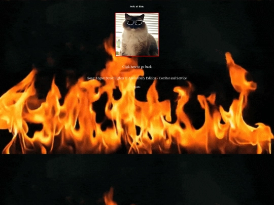 sunglasses screenshot