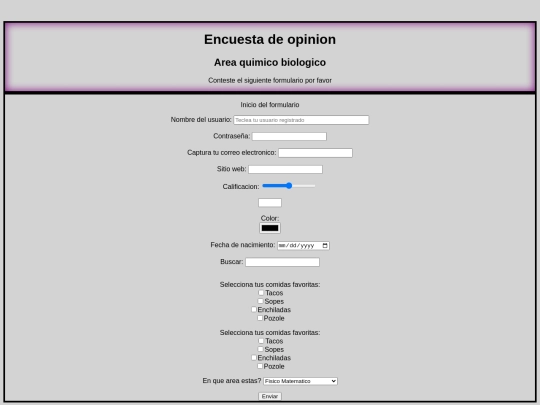 formulario/formulario screenshot