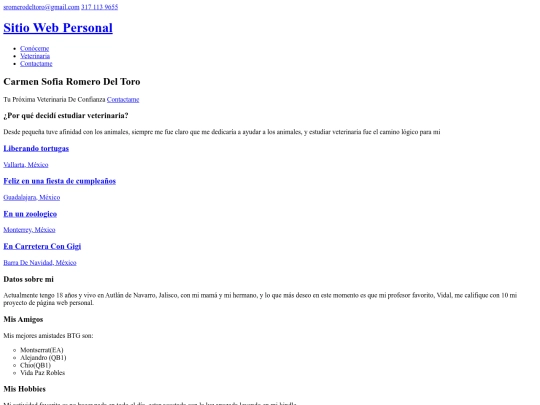 sitio web personal screenshot