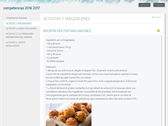 competencies/activitat_1_magdalenes screenshot
