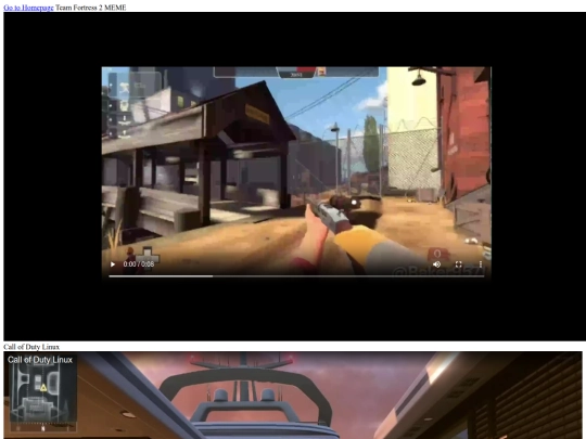 video screenshot