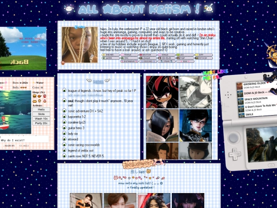 webmaster screenshot