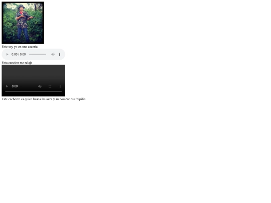 PAGINA/media screenshot