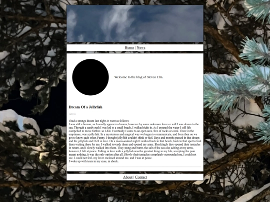 blog/Blog screenshot