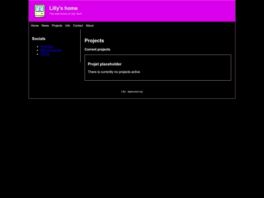 projects screenshot