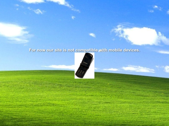 phone screenshot