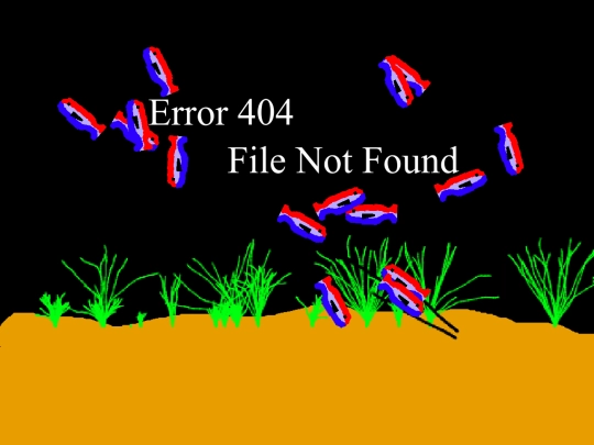 404 - skylarclark.xyz screenshot