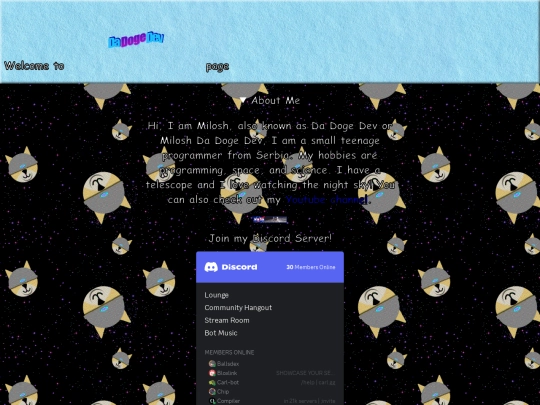 page screenshot