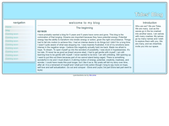 blog screenshot