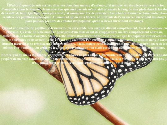 butterfly screenshot
