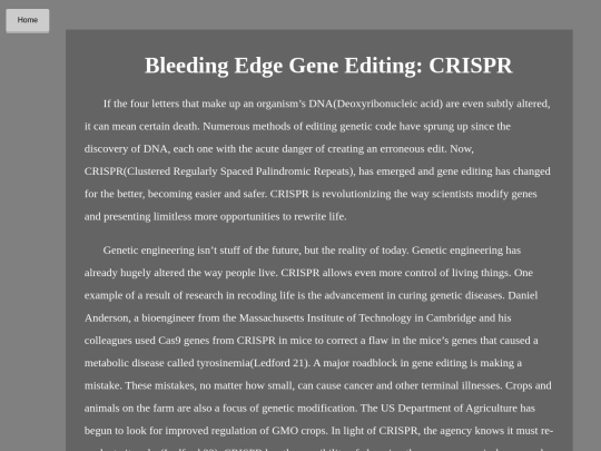 essay screenshot