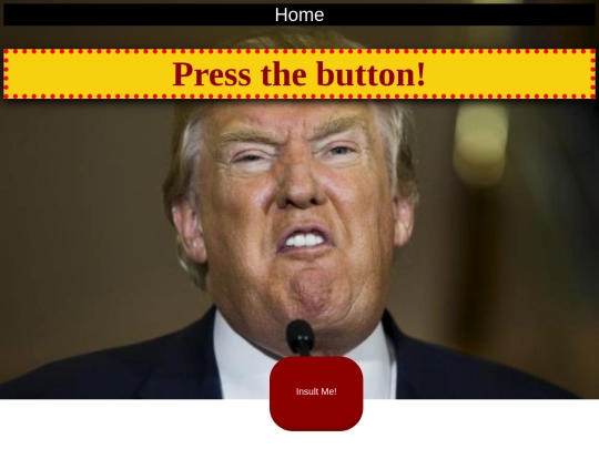 insult_generator screenshot