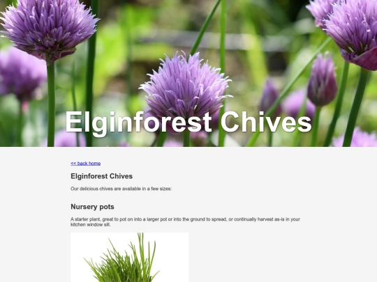 chives screenshot