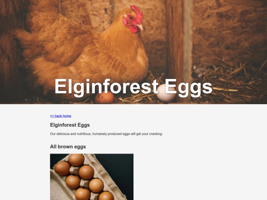 eggs screenshot