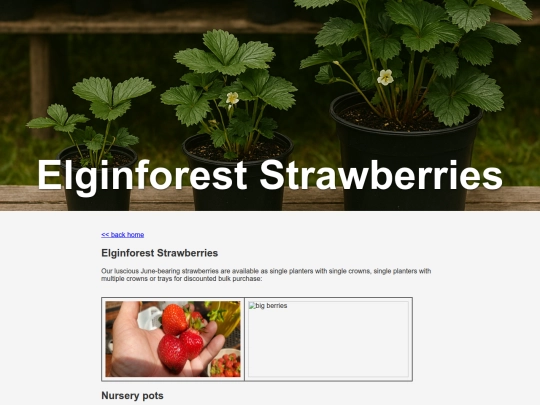 strawberries screenshot