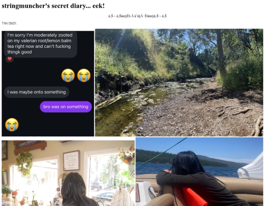 site/secretDiary screenshot