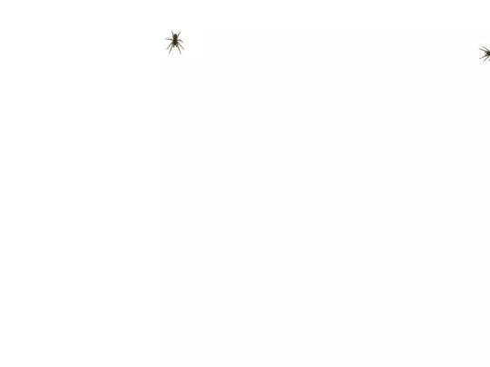 flyingbird/example screenshot